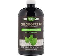 Nature's Way Chlorofresh Liquid Chlorophyll Internal Deodorant, Natural Mint Flavor 16 oz (2 pack)
