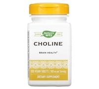 Nature's Way Choline 500Mg 100 Tablets, 200 g