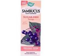 Nature'S Way Sambucus Original Syrup - 4 Fl Oz