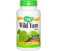 Nature's Way, Wild Yam Root, 425 mg, 180 Vegetarian Capsules