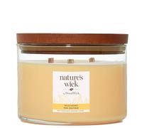 Nature's Wick Wild Honey 3 Wick Candle | with Scents of Orange Blossom, Rose & Sandalwood | Patented Crackling Sound Like a Winter Log Fire | Large Jar, 65 Hour Burn Time, 433g