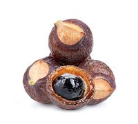 NaturGut Wash Nuts in Cotton Bag, 1 kg, Sapindus Mukorossi, Suitable for Allergy Sufferers, 100% Organic Natural Detergent