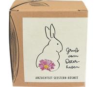 Naturkraftwerk "Greetings from the Easter Bunny" Grow Kit - 1 Set