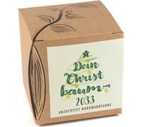 Naturkraftwerk Your Christmas Tree 2033 - Growing Set - 1 Set