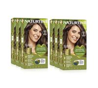 NATURTINT (SIX PACK) Permanent Hair Colour 5G Light Golden Chestnut | Ammonia Free | Vegan | 100% Grey Coverage | Long Lasting Results