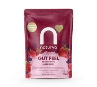 Naturya Gut Feel Flaxseed Blend Mixed Berry 240g