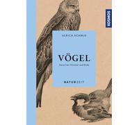 Naturzeit Vögel: Zwischen Himmel und Erde