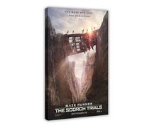 NAUEHG Maze Runner The Scorch Trials American Science Fiction Action Thriller Movie Cover Wall Art Deco Poster Canvas Poster Bedroom Decor Landscape Office Room Decor Gift 20x30inch(50x75cm)