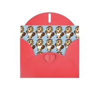 Naughty Beaver Printing Holiday Happy Birthday Cards Gift With Envelope And Note Tag For Women Men Wife Mom Husband