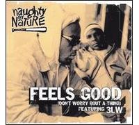 Naughty By Nature - Naughty By Nature Ft 3Lw / Feels Good (Don't Worry Bout A Thing)