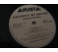 Naughty By Nature - Wicked Bounce / The Blues