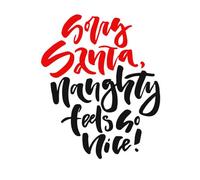 Naughty Feels So Nice Women's T-Shirt - White - L - White
