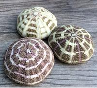 Nautical Crush Trading Alfonso Sea Urchins | 3 Large Alphonse Urchin Shells 3 To 4 | Plus Free Nautical Ebook By Joseph Rains