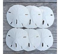 Nautical Crush Trading Sand Dollar | Real Sand Dollars 2 1/2 To 3 (Set Of 6) | Sand Dollar Shells Plus Free Nautical Ebook By Joseph Rains
