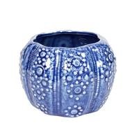 Nauticalia Ceramic Sea Urchin Pot, Blue, 10cm