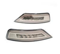 NAUTIG Bumper Fog Driving Lamp For Focus Hatchback 2009 2010 2011 2012 2013 For Ecosport 2013 2014 2015-2020 For Kuga For Escape 2013-2018 2Pcs Rear Bumper Fog Light Turn Signal(4 Functions)