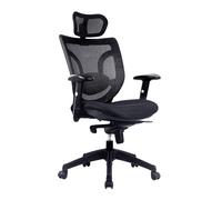Newton Mesh Back Manager Chair, black