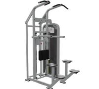 Nautilus Impact Chin Dip Assist