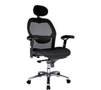 Nautilus Office Chair Mesh Height-Adjustable Armrest Black 110 kg