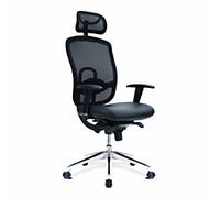 Nautilus Office Chair Mesh Height-Adjustable Armrest Black 110 kg DPA80HBSY/AHR
