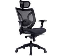Newton Mesh Back Manager Chair, Black