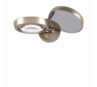 Nautilus Wall Light Gold