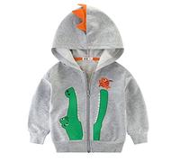 NautySaurs Boys Zip-up Dinosaur Hoodies Toddler Light Jackets Zipper Sweatshirt, A-grey, 2 Years