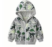 NautySaurs Boys Zip-up Dinosaur Hoodies Toddler Light Jackets Zipper Sweatshirt, C-grey, 4 Years