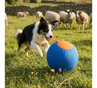 Navea Giant Dog Ball - Large Virtually Indestructible Herding Ball for Dogs, Heavy Duty Interactive Toy for Sheepdogs, Border Collies and Large Breeds, Durable Chase & Push Toy (Blue, 45CM)