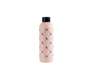 Navigate Beau & Eliot 500Ml S/steel Drinks Bottle Candyfloss