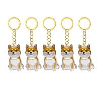 Navna 1. 2/3/4/5/10Pcs Clear Pet Memorial Keychain With Storage Compartment For Cats Dogs Lovers Sympathy Pendants Pet Furs Collection Box