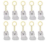 Navna 1. 2/3/4/5/10Pcs Clear Pet Memorial Keychain With Storage Compartment For Cats Dogs Lovers Sympathy Pendants Pet Furs Collection Box