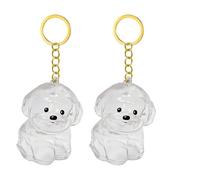 Navna 1. 2/3/4/5/10Pcs Clear Pet Memorial Keychain With Storage Compartment For Cats Dogs Lovers Sympathy Pendants Pet Furs Collection Box