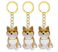 Navna 1. 2/3/4/5/10Pcs Clear Pet Memorial Keychain With Storage Compartment For Cats Dogs Lovers Sympathy Pendants Pet Furs Collection Box