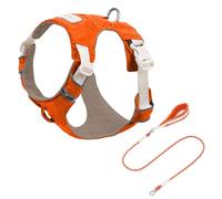 Navna Reflective Adjustable Dog Harness & Set With Soft Padding Breathable Vest For Outdoor Walking Running Removable Pet Chest Harness