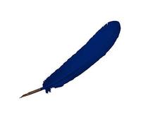 Navy Blue Manuscript Artists Calligraphy Quill Steel Nib Dip Feather Pen