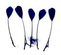 Navy Blue Stripped Coque Style Feathers x 5 - Fascinators, weddings - 6 inches approx by GC