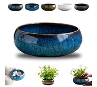 Navy Glazed PlanterLeakProof Flower Pot for Indoor Hydroponics Succulents & BonsaiAesthetiDecorative Bowl for Water Planting (1pc)