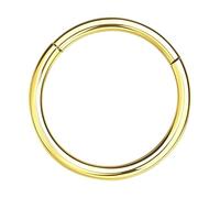 NAVZA Non-Surgical Steel Nose Rings- Nose Hinged Hoops for Men and Women - Body Piercing Jewelry Earrings Lip Rings 6mm 8mm