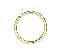 NAVZA Surgical Steel Nose Rings- Nose Hinged Hoops for Men and Women - Body Piercing Jewelry Earrings Lip Rings 6mm-7mm-8mm-9mm-10mm (Gold 16g, 10mm)