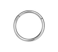 NAVZA Surgical Steel Nose Rings- Nose Hinged Hoops for Men and Women - Body Piercing Jewelry Earrings Lip Rings 6mm-7mm-8mm-9mm-10mm (Silver 16, 9mm)
