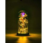 NAWEIDA Galaxy Rose Flower, Infinity Rose in Glass Dome, Beauty and The Beast Rose Led Light String on Galaxy Rose Flower for Women Her Girlfriend Grandma Wife Sister Valentines Anniversary