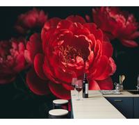 NAWVNMI Flowers Close-Up Wall Mural Wallpaper, Giant Red Peony Panoramic Wallpaper for TV Backdrop, Large Wall Mural for Living Room Bedroom Office Decoration, 400 x 280cm (W x H)
