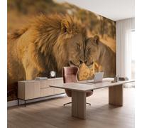 NAWVNMI Grassland Animals Wall Mural Wallpaper, Lions Couple, Panoramic Silk Paste-the-Wall, Multi-Panel Wall Art for Living Room or Bedroom, 350 x 256cm
