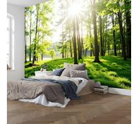 NAWVNMI Sunlight Forest Wallpaper Modern Grassland Lake Wall Mural Wall Covering for Bedroom Adults Teenager Living Room Lounge Hallway Hall 177" x 124"