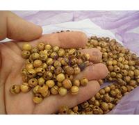 Nazareth Olive Wood Beads 9mm Beads Making Rosaries (500 Beads)