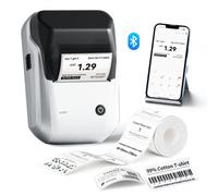 NIIMBOT B1 Bluetooth Thermal Label Printer In ree Label 50x30mm - Silver