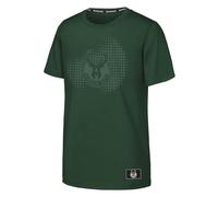 NBA Boys Youth Graphic Tee, Green, 14-15 Years EU