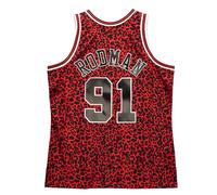 NBA Jersey Chicago Bulls Dennis Rodman Rouge M