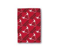 NBA Chicago Bulls Fleece Blanket